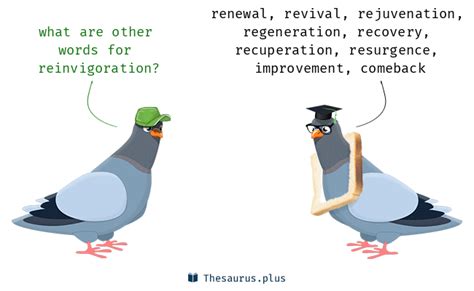 reinvigoration synonym|define reinvigorate.